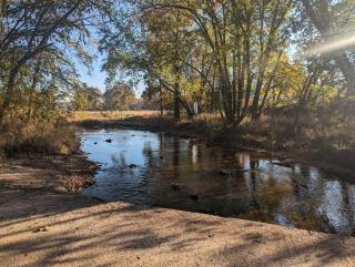 Conewago Creek after a Stream Restoration